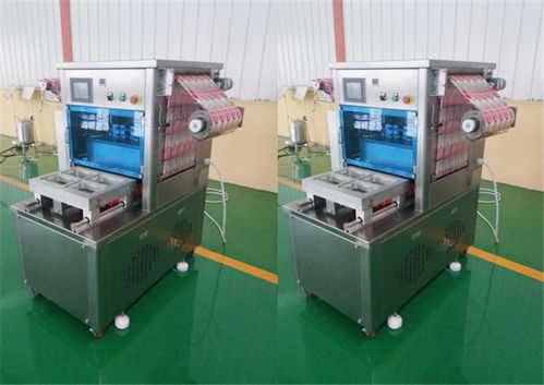 雞產品真空封口機設備——諸城市廣元機械專業(yè)解決方案